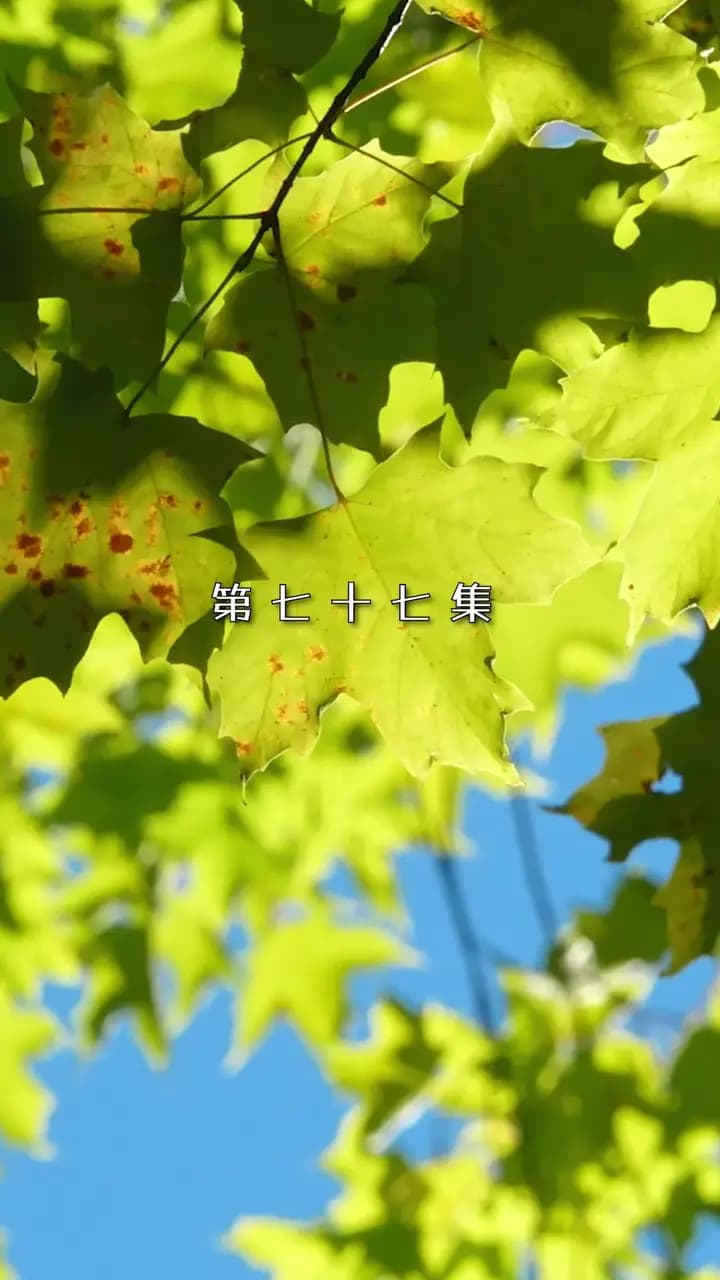 Episode Cover